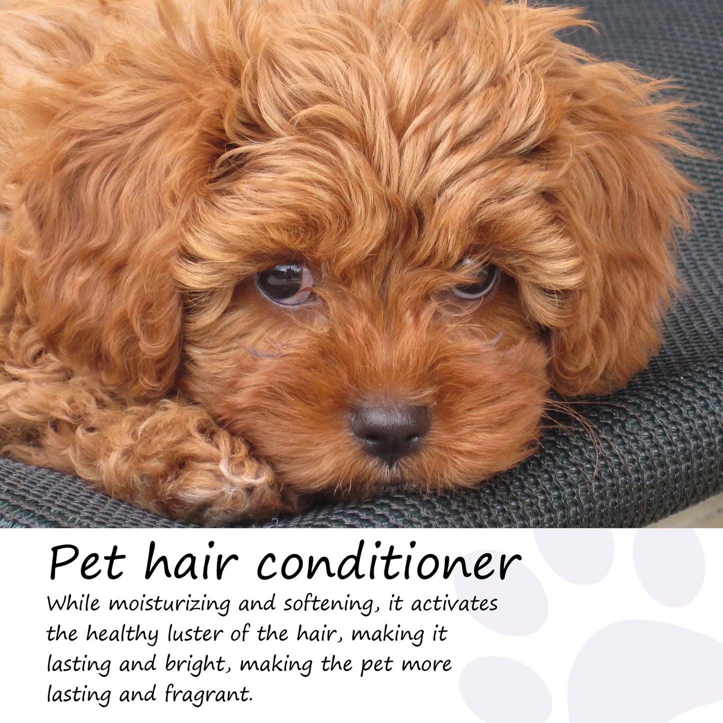 Non-Knotted Pet Hair Care Cream