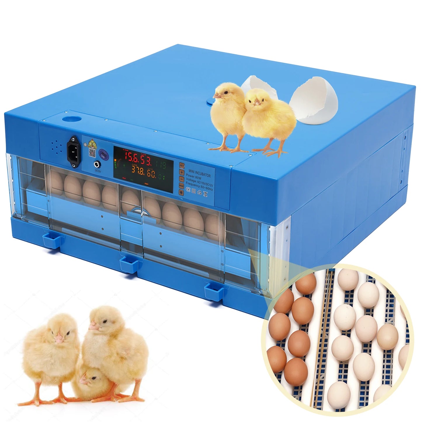 AC110V/DC12V Blue 80W 64 Eggs Incubator Automatic Digital Chicken Egg Hatcher Temperature Control