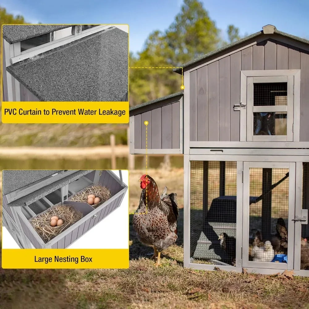 Outdoor Chicken Coop