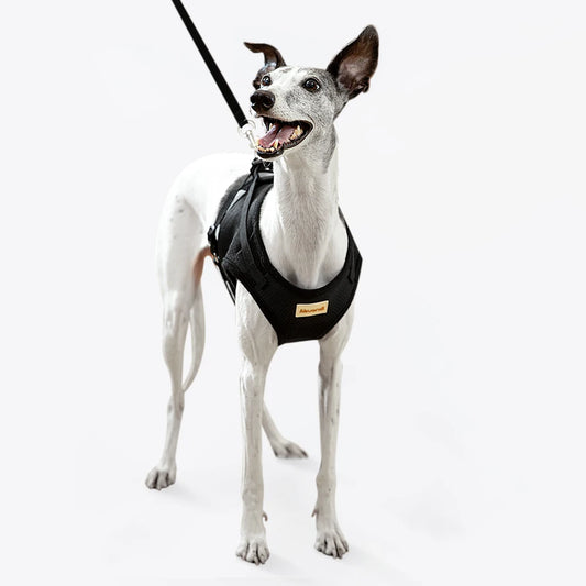 Reflective Safety Dog Vest Harness Dog Collar Leash