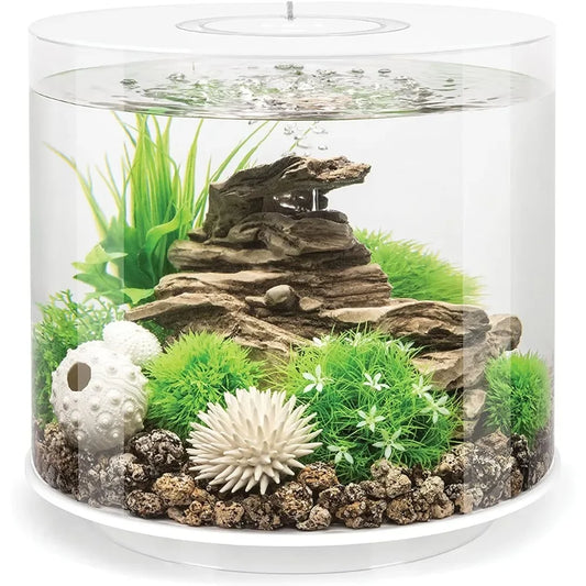 15 Aquarium with MCR Light 4 Gallon White multi-color lighting