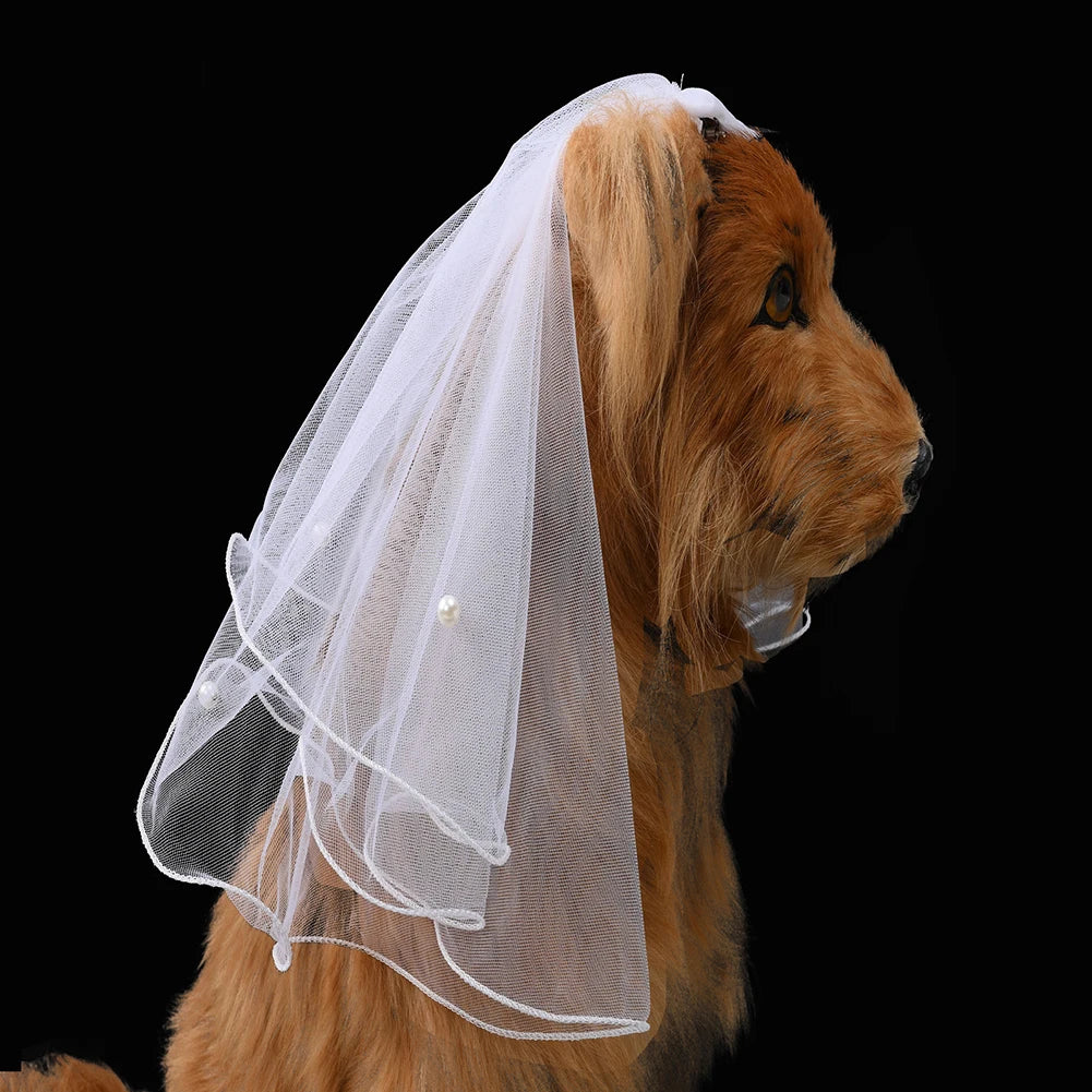 Pet Wedding Veil With Valentine Day Party Decoration