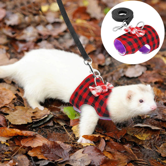 Small Pet Harness Vest & Leash Set