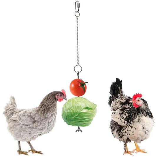 Pet Parrot Stainless Steel Feeder, Chicken Birdcage Accessories