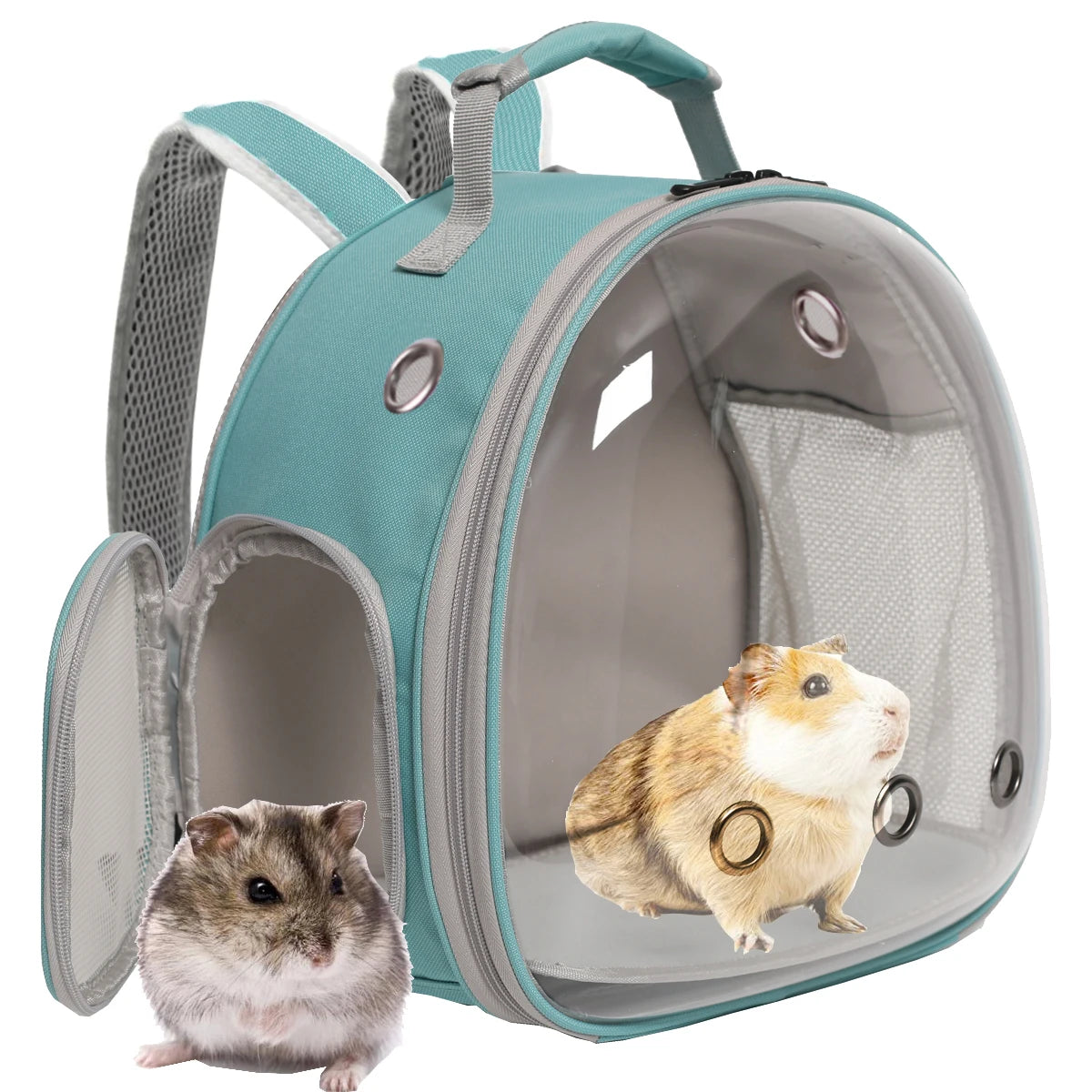 Backpack Carrier Space Capsule for Small Animals and for Outdoor Travel