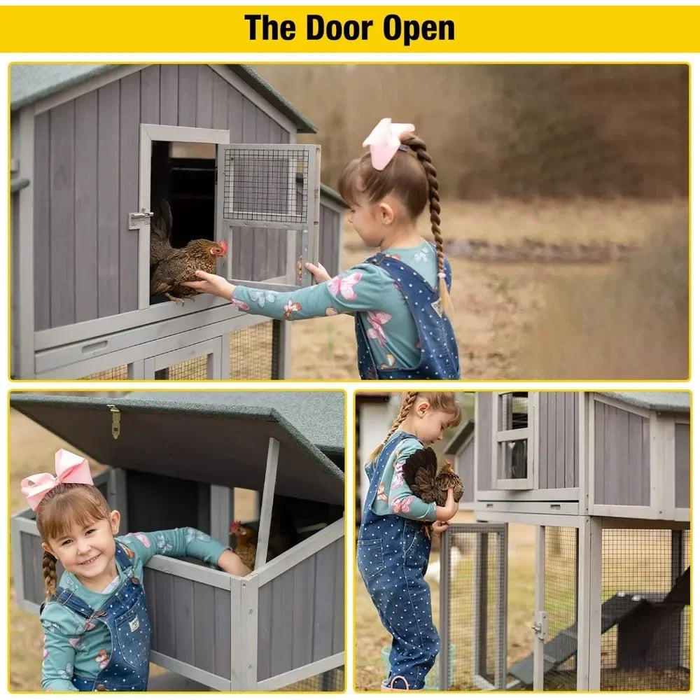 Outdoor Chicken Coop