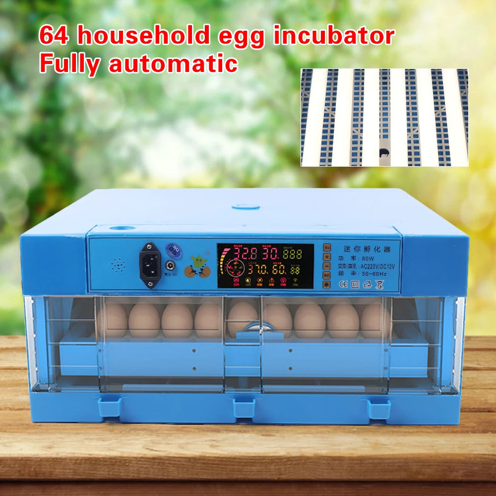 AC110V/DC12V Blue 80W 64 Eggs Incubator Automatic Digital Chicken Egg Hatcher Temperature Control