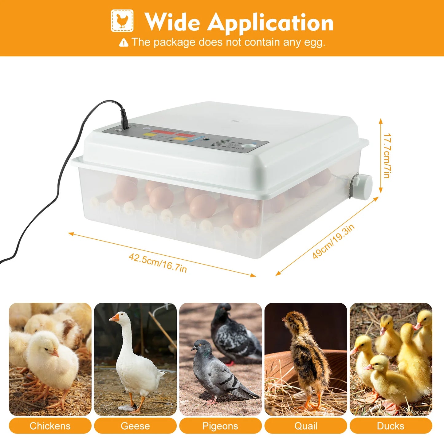 64-Egg Single-Layer Incubators, Automatic Egg Rotation