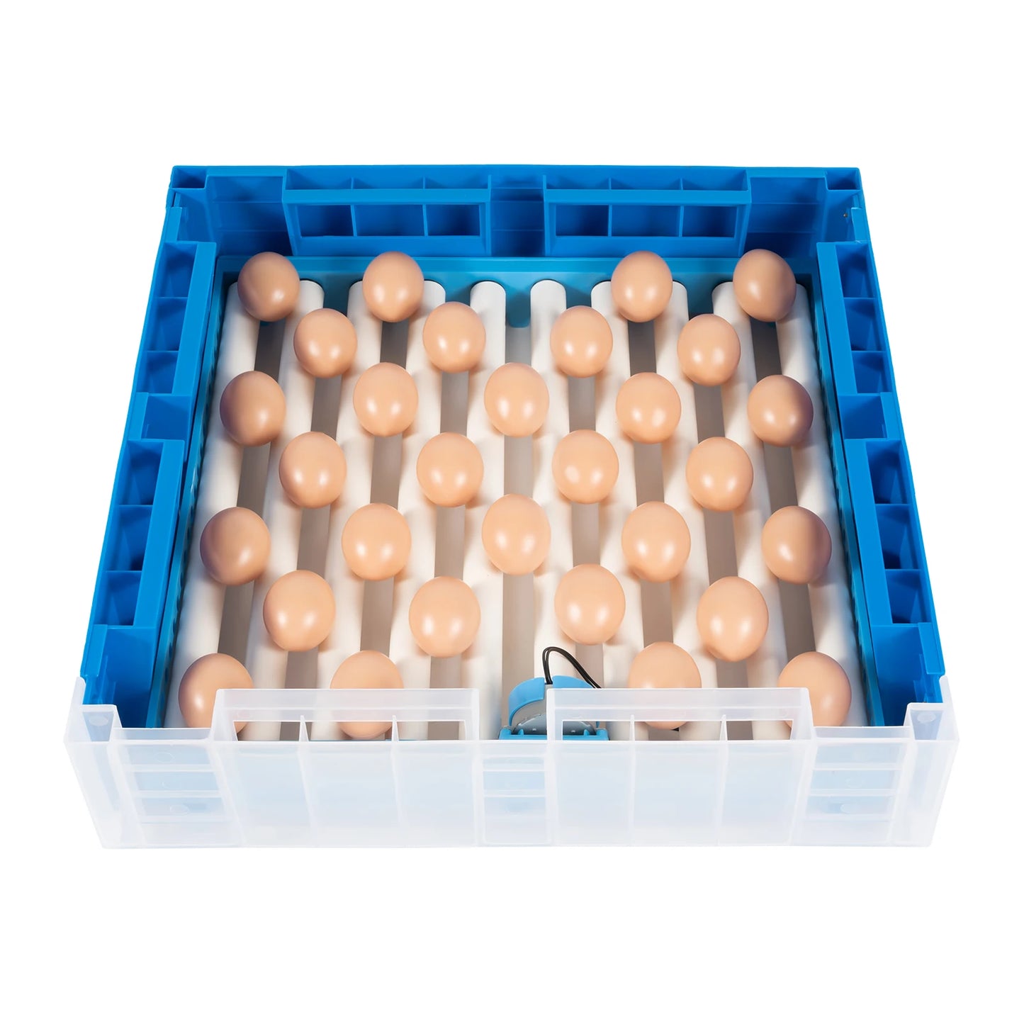 AC110V/DC12V Blue 80W 64 Eggs Incubator Automatic Digital Chicken Egg Hatcher Temperature Control