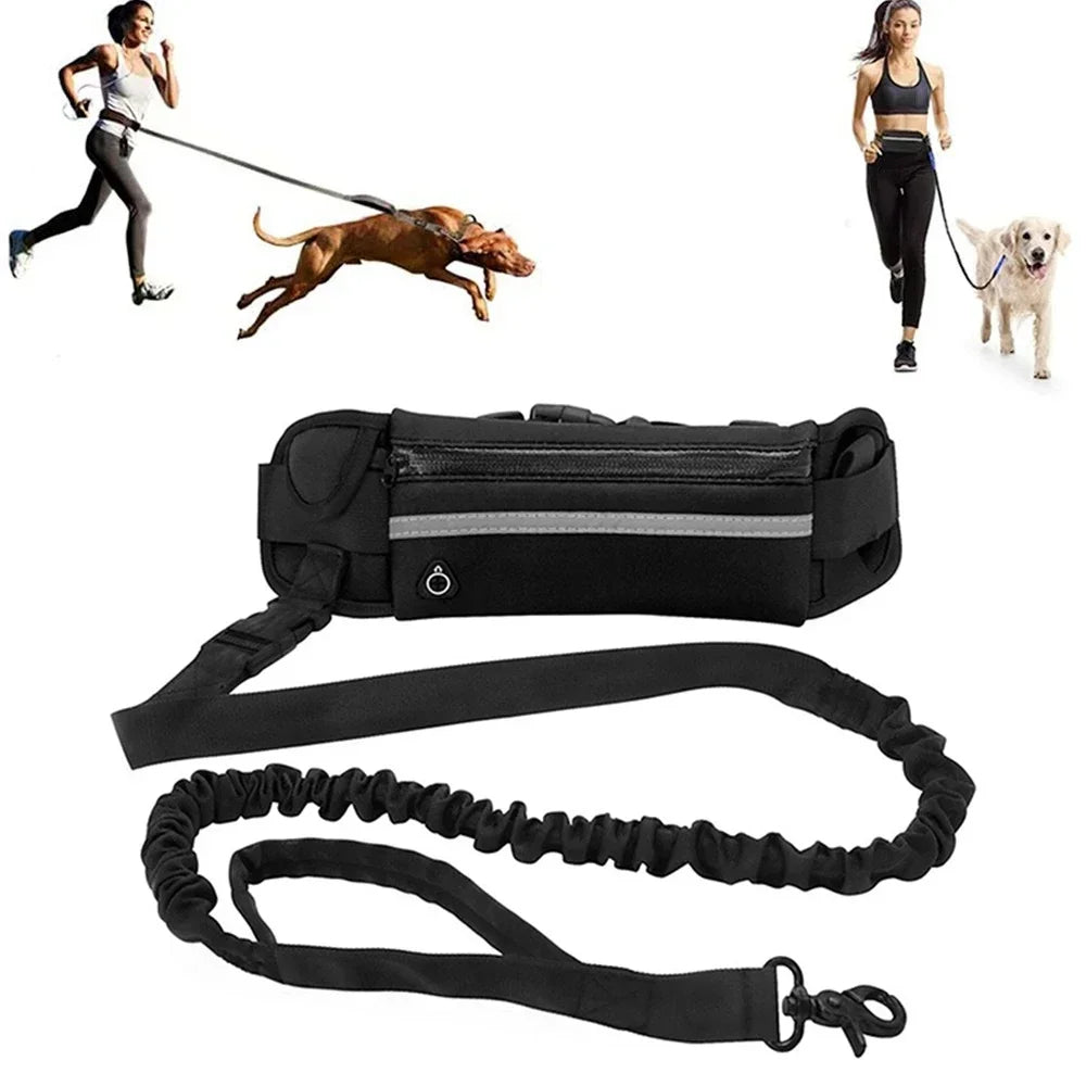 Hands Free Dog Leash, Reflective Leash with Waist Bag