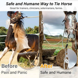 1 Set Heavy-Duty Horse Tie Ring Horse Training Equipment Prevent Horses From Pulling Back 1 Set Heavy-Duty Horse Tie Ring Horse Training Equipment Prevent Horses From Pulling Back