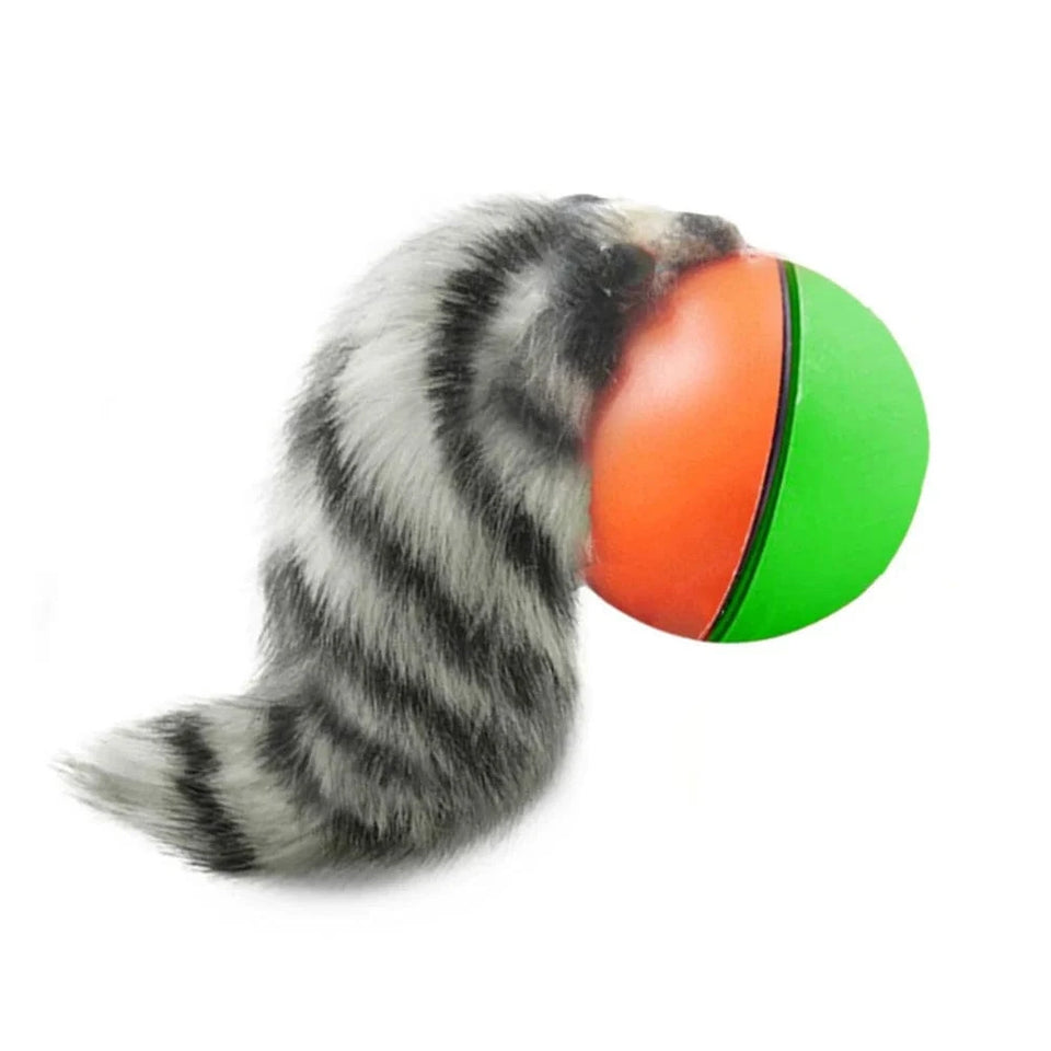 1PC / United States 2PC/1PC Cat Interactive Ball Toys Automatic Rolling Ball Rechargeable 2PC/1PC Cat Interactive Ball Toys Automatic Rolling Ball Rechargeable