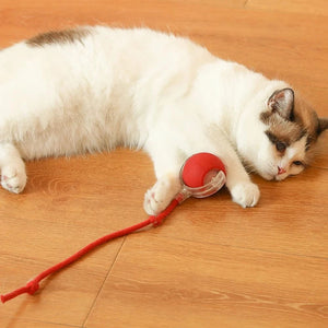 2PC/1PC Cat Interactive Ball Toys Automatic Rolling Ball Rechargeable 2PC/1PC Cat Interactive Ball Toys Automatic Rolling Ball Rechargeable