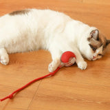 2PC/1PC Cat Interactive Ball Toys Automatic Rolling Ball Rechargeable 2PC/1PC Cat Interactive Ball Toys Automatic Rolling Ball Rechargeable
