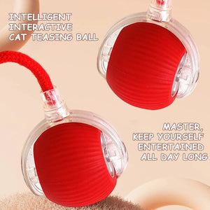 2PC/1PC Cat Interactive Ball Toys Automatic Rolling Ball Rechargeable 2PC/1PC Cat Interactive Ball Toys Automatic Rolling Ball Rechargeable