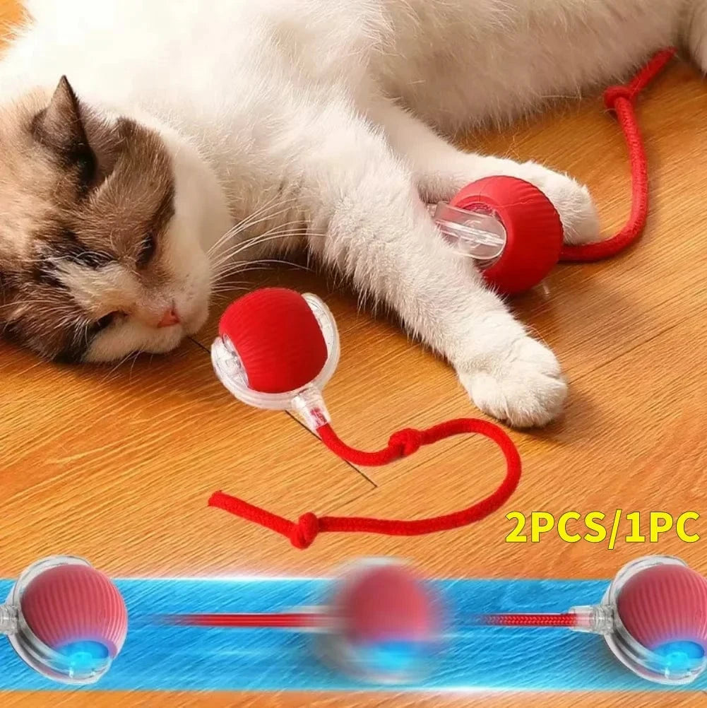 2PC/1PC Cat Interactive Ball Toys Automatic Rolling Ball Rechargeable 2PC/1PC Cat Interactive Ball Toys Automatic Rolling Ball Rechargeable