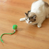 2PC/1PC Cat Interactive Ball Toys Automatic Rolling Ball Rechargeable 2PC/1PC Cat Interactive Ball Toys Automatic Rolling Ball Rechargeable