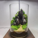 Aquarium Resin Seiryu Stone Model PH Nature Aquarium Rocks for Micro-Landscapes Aquarium Resin Seiryu Stone Model PH Nature Aquarium Rocks for Micro-Landscapes