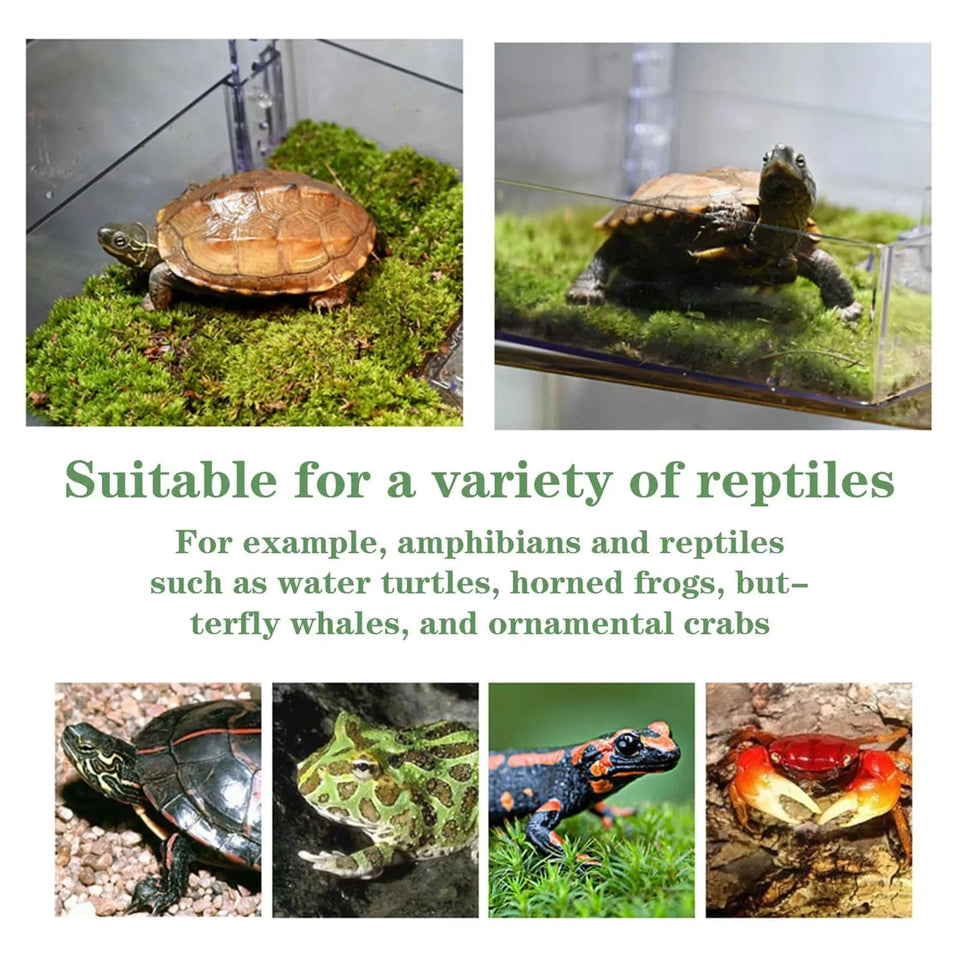 L / United States Hanging Turtle Basking Platform, Aquatic Reptile Ramp Dock with Adjustable Telescopic Clasp Hanging Turtle Basking Platform, Aquatic Reptile Ramp Dock with Adjustable Telescopic Clasp