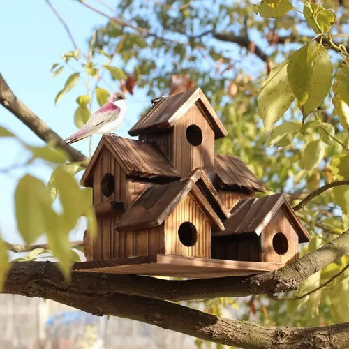 Outdoor Small  Bird House, Natural Wooden Hummingbird and Cardinal House, Outdoor Hanging Outdoor Small  Bird House, Natural Wooden Hummingbird and Cardinal House, Outdoor Hanging