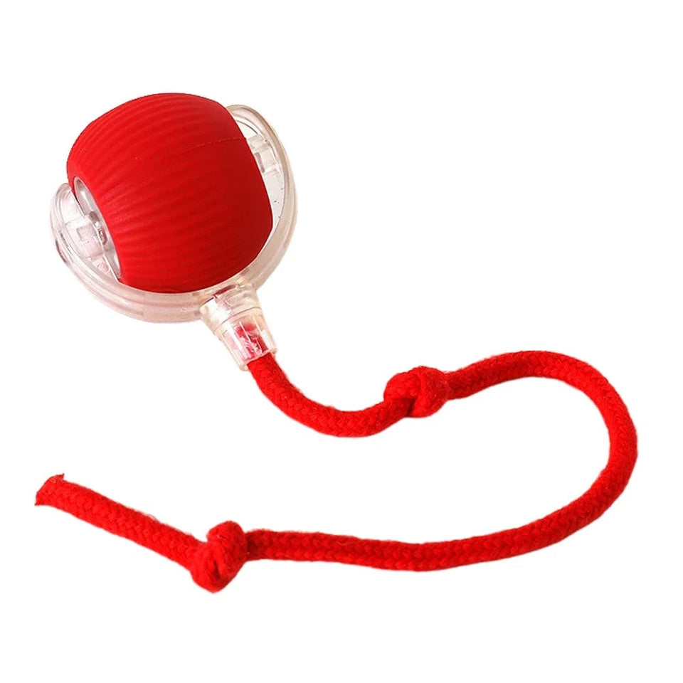 Red 1PCS / United States 2PC/1PC Cat Interactive Ball Toys Automatic Rolling Ball Rechargeable 2PC/1PC Cat Interactive Ball Toys Automatic Rolling Ball Rechargeable