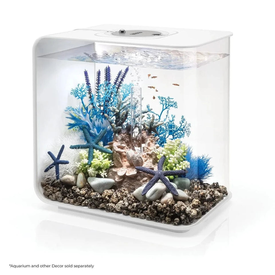 United States Aquarium Plant Decoration Set, Life-Like Kelp Forest Inspired Faux Plants Freshwater Saltwater Decor Aquarium Plant Decoration Set, Life-Like Kelp Forest Inspired Faux Plants Freshwater Saltwater Decor