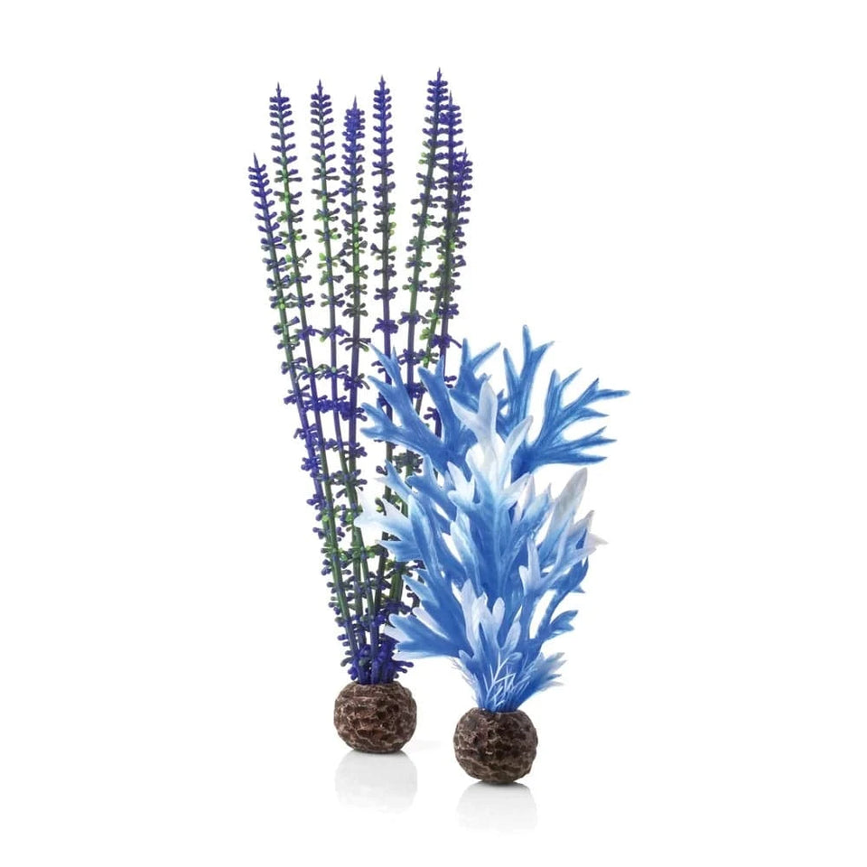 United States Aquarium Plant Decoration Set, Life-Like Kelp Forest Inspired Faux Plants Freshwater Saltwater Decor Aquarium Plant Decoration Set, Life-Like Kelp Forest Inspired Faux Plants Freshwater Saltwater Decor