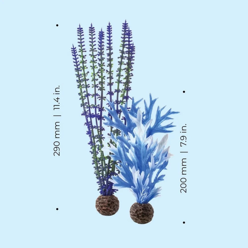 United States Aquarium Plant Decoration Set, Life-Like Kelp Forest Inspired Faux Plants Freshwater Saltwater Decor Aquarium Plant Decoration Set, Life-Like Kelp Forest Inspired Faux Plants Freshwater Saltwater Decor