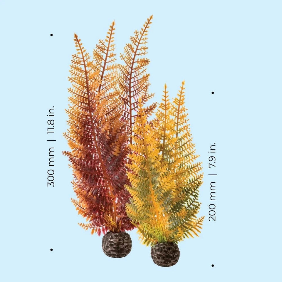 United States Aquarium Plants Set of 2 Plastic Life-Like Ferns Freshwater and Saltwater Decoration Medium, Small Aquarium Plants Set of 2 Plastic Life-Like Ferns Freshwater and Saltwater Decoration Medium, Small