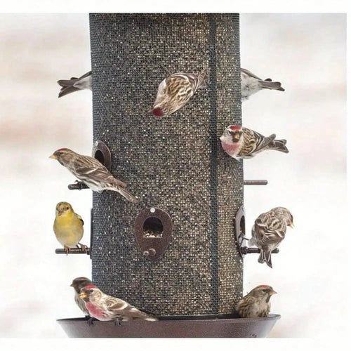 United States / black Giant combination screen bird feeder, 10 lb capacity, built-in drain, screw cap design, easy to fill Giant combination screen bird feeder, 10 lb capacity, built-in drain, screw cap design, easy to fill