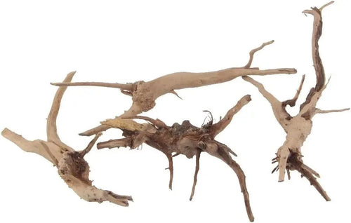 United States / WHITE Natural Driftwood Vine Branches Reptiles Aquarium Decoration Assorted Sizes,4 Pieces Natural Driftwood Vine Branches Reptiles Aquarium Decoration Assorted Sizes,4 Pieces