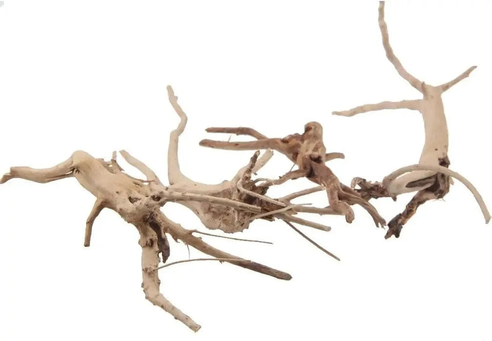United States / WHITE Natural Driftwood Vine Branches Reptiles Aquarium Decoration Assorted Sizes,4 Pieces Natural Driftwood Vine Branches Reptiles Aquarium Decoration Assorted Sizes,4 Pieces
