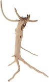 United States / WHITE Natural Driftwood Vine Branches Reptiles Aquarium Decoration Assorted Sizes,4 Pieces Natural Driftwood Vine Branches Reptiles Aquarium Decoration Assorted Sizes,4 Pieces