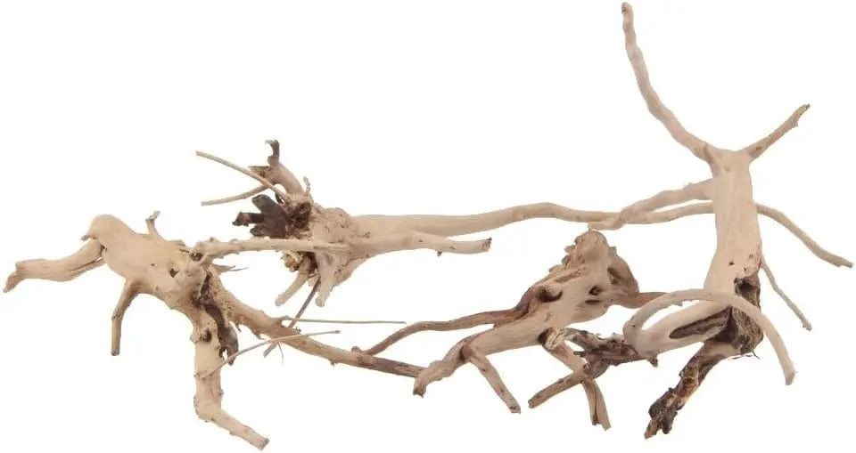United States / WHITE Natural Driftwood Vine Branches Reptiles Aquarium Decoration Assorted Sizes,4 Pieces Natural Driftwood Vine Branches Reptiles Aquarium Decoration Assorted Sizes,4 Pieces