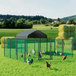 XL / United States Heavy Duty XXL Metal Kennel Hutch Chicken Run Coop, Cage Walk In Coop; Poultry Hen Rabbit Pen Heavy Duty XXL Metal Kennel Hutch Chicken Run Coop, Cage Walk In Coop; Poultry Hen Rabbit Pen