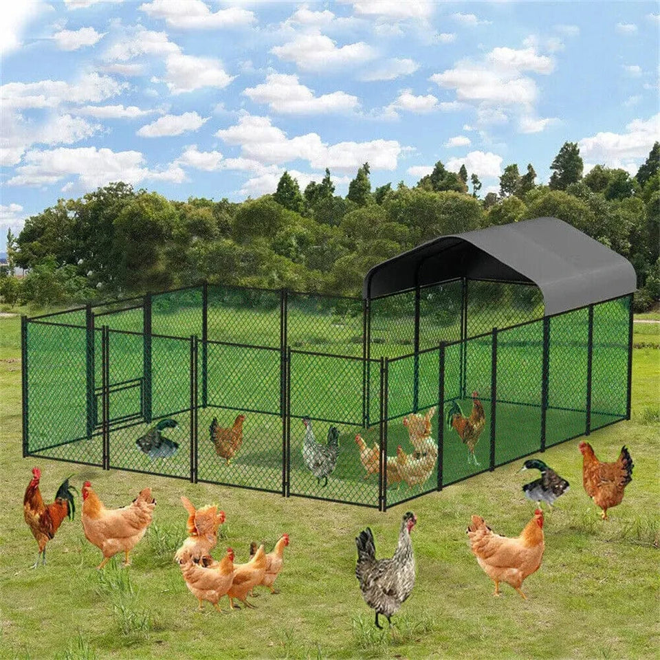 XL / United States Heavy Duty XXL Metal Kennel Hutch Chicken Run Coop, Cage Walk In Coop; Poultry Hen Rabbit Pen Heavy Duty XXL Metal Kennel Hutch Chicken Run Coop, Cage Walk In Coop; Poultry Hen Rabbit Pen