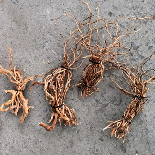XQ95162-01 / United States Aquarium Micro Landscape Natural Driftwood Root Trunk Tree DIY Home Fish Tank Ornaments Supplies Aquarium Micro Landscape Natural Driftwood Root Trunk Tree DIY Home Fish Tank Ornaments Supplies