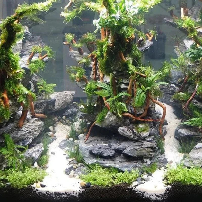 XQ95162-01 / United States Aquarium Micro Landscape Natural Driftwood Root Trunk Tree DIY Home Fish Tank Ornaments Supplies Aquarium Micro Landscape Natural Driftwood Root Trunk Tree DIY Home Fish Tank Ornaments Supplies