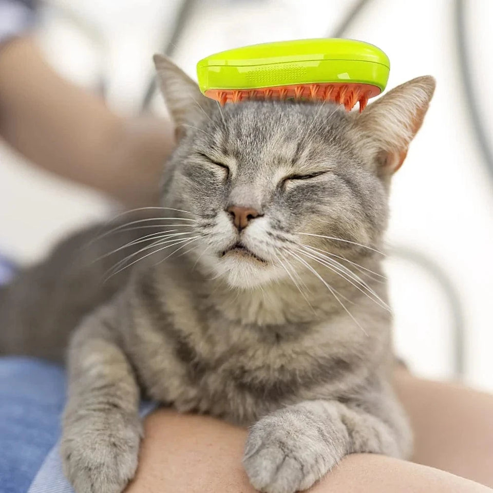 Yellow Green / United States 3 In 1 Cat Steamy Brush, Dog Grooming Comb Dog Grooming Comb 3 In 1 Cat Steamy Brush, Dog Grooming Comb
