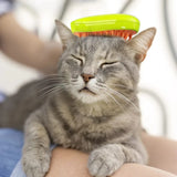 Yellow Green / United States 3 In 1 Cat Steamy Brush, Dog Grooming Comb Dog Grooming Comb 3 In 1 Cat Steamy Brush, Dog Grooming Comb